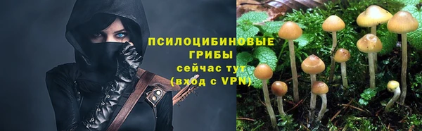хмурый Аша