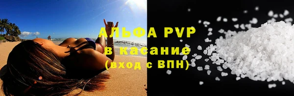 хмурый Аша