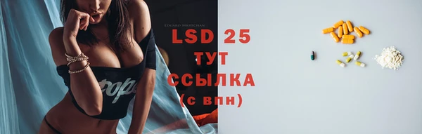 хмурый Аша
