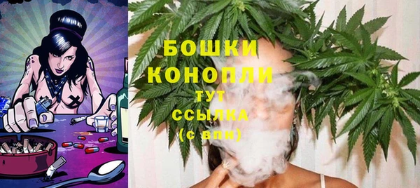хмурый Аша