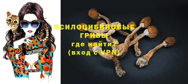 хмурый Аша