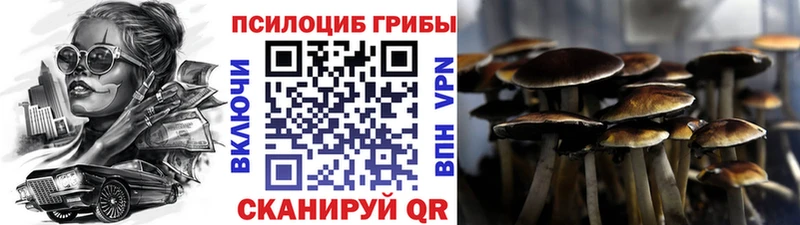 Галлюциногенные грибы прущие грибы  Льгов 